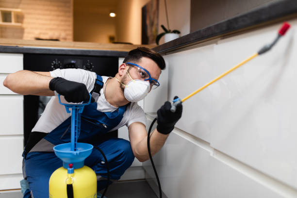 Best Mosquito Control Services  in Wolfforth, TX