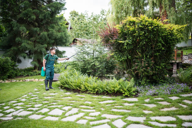 Best Pest Prevention Services  in Wolfforth, TX