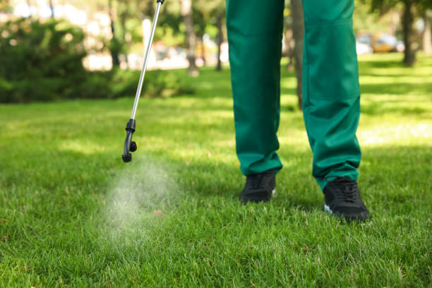 Pest Control for Restaurants in Wolfforth, TX