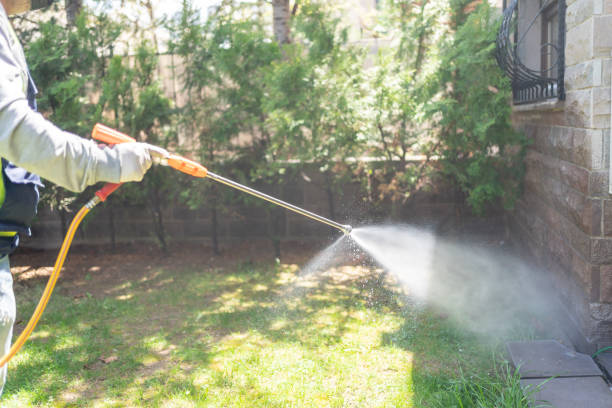 Best Exterminator Services  in Wolfforth, TX
