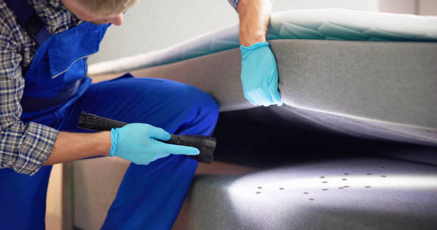 Best Cockroach Control Services  in Wolfforth, TX