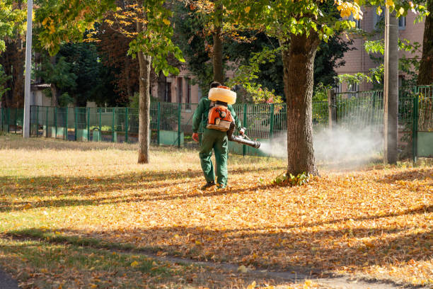 Best Wasp Removal Services  in Wolfforth, TX
