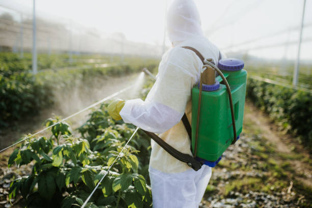 Best Best Pest Control Companies  in Wolfforth, TX